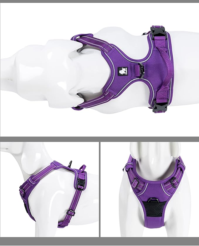 TRUE LOVE Adjustable No-Pull Dog Harness Reflective Pup Vest Harnesses Comfortable Control Brilliant Colors Truelove TLH5651(Purple,XS) Product Name-Mewly Pet