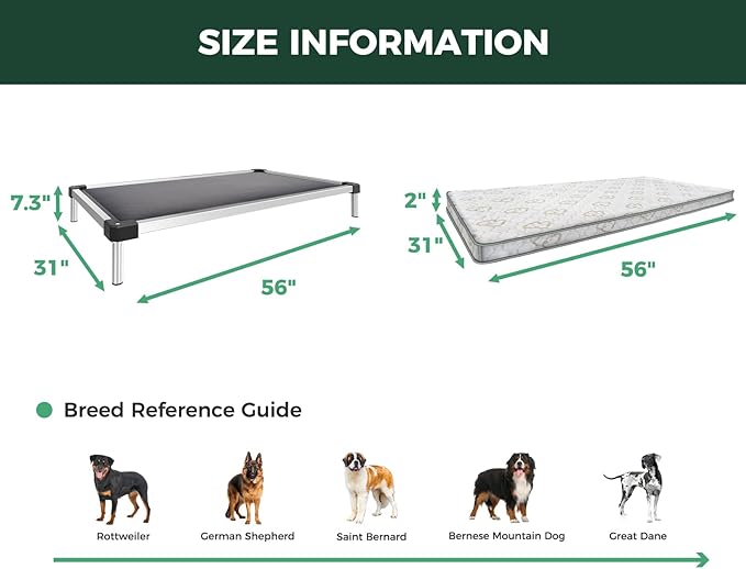 FXW TitanNest Chew-Proof Elevated Dog Bed, Raised Cot for Indoor/Outdoor/Camping Use, Durable & Washable Padded Pet Bed with Exclusive Cover for Extra-Large Dogs, 56.0" L x 31.0" W x 7.3" H, Gray-Mewly Pet