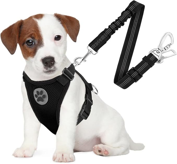 SlowTon Dog Seat Belt Harness for Car, Dog Car Harness Adjustable Mesh Breathable & Dog Seatbelt Safety Tether with Elastic Bungee for Small Medium Large Pets(Black, Double Clip, S)-Mewly Pet