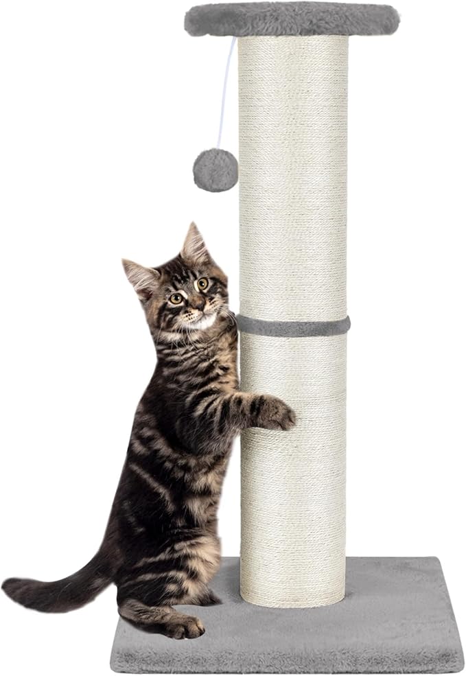 PAWSCRAT Cat Scratching Post 32" Tall, Large Diameter Natural Sisal Cat Scratch Post with Dangling Ball, Scratch-Resistant and Durable for Indoor Cats, Protect Your Furniture, LightGrey-Mewly Pet