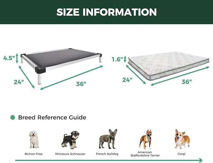 FXW TitanNest Chew-Proof Elevated Dog Bed, Raised Cot for Indoor/Outdoor/Camping Use, Durable & Washable Padded Pet Bed with Exclusive Reuseable Cover for Small Dogs, 36.0" L x 24.0" W x 4.5" H, Gray-Mewly Pet