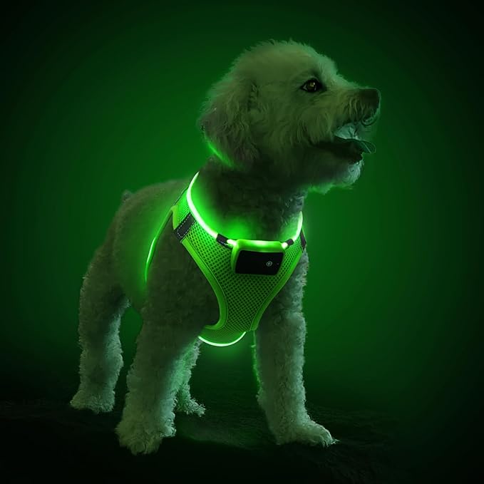 PceoTllar Light Up Dog Harness, LED No Pull Reflective Dog Harness, Flashing Lighted for Night Walking - Small/Medium, (Green M)-Mewly Pet