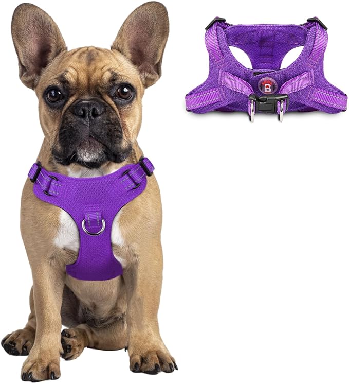 Dog Harness Step in Dog Vest Harness, Reflective Adjustable Puppy No Pull Harness Breathable Soft for Small and Medium Dogs Cats, Purple, S-Mewly Pet