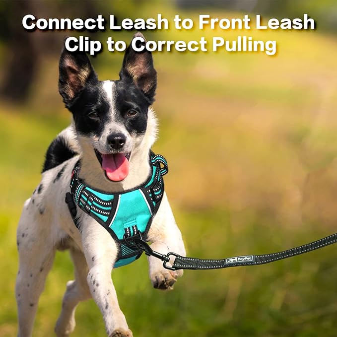 PoyPet No Pull Dog Harness, No Choke Front Clip Reflective Dog Vest with Soft Padded Vertical Handle, 3 Leash Attachments for Small Medium Large Dogs (Mint Blue,M)-Mewly Pet