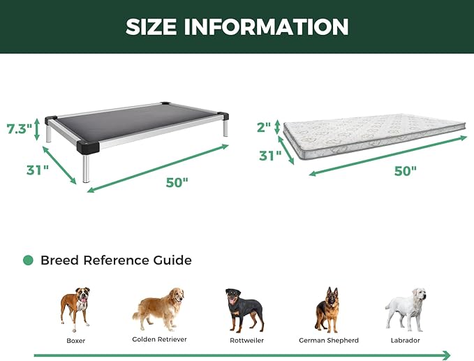 FXW TitanNest Chew-Proof Elevated Dog Bed, Raised Cot for Indoor/Outdoor/Camping Use, Durable & Washable Padded Pet Bed with Exclusive Reuseable Cover for Large Dogs, 50.0" L x 31.0" W x 7.3" H, Gray-Mewly Pet