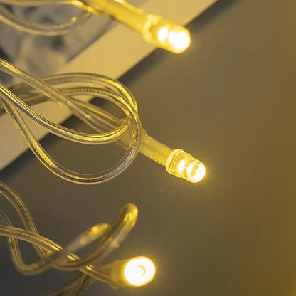 YULETIME 100 ft 300 Count Warm White LED String Lights with Adapter, Clear Wire Wide Angle 5mm Christmas Light (Warm White)