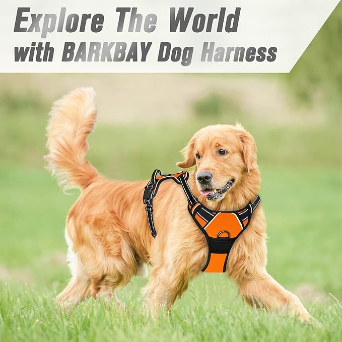 BARKBAY No Pull Dog Harness Front Clip Heavy Duty Reflective Easy Control Handle for Large Dog Walking(Orange,M)-Mewly Pet
