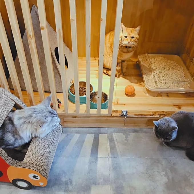 Disposable Litter Boxes for Kittens - Multi-Value (15 Pack), Kitten, Rabbit, and Senior Cat, Shallow, Small, Sanitary Must-Have 16.5 x 12.5 x 2 in.-Mewly Pet