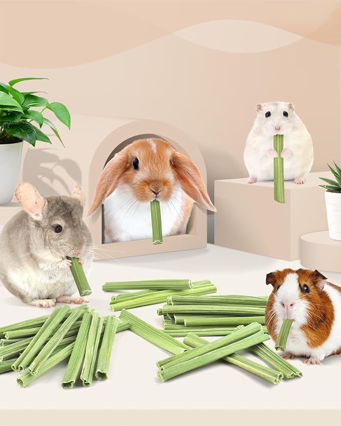 Bissap 50PCS Rabbit Chew Sticks, Natural Papaya Stems Bunny Chews Treats for Rabbits Hamsters Chinchillas Guinea Pigs Small Animals Organic Molar Chewing Snack-Mewly Pet