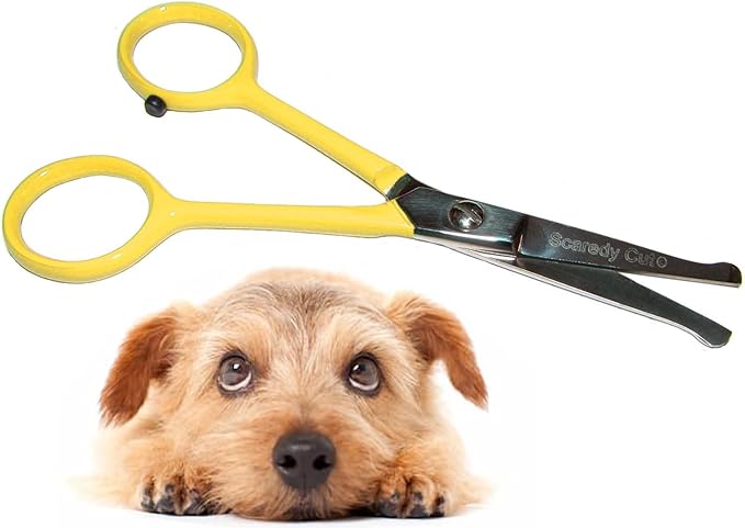 Tiny Trim 4.5" Ball-Tipped Scissor for Dog, Cat and all Pet Grooming - Ear, Nose, Face & Paw - Scaredy Cut's small Safety Scissor Yellow-Mewly Pet