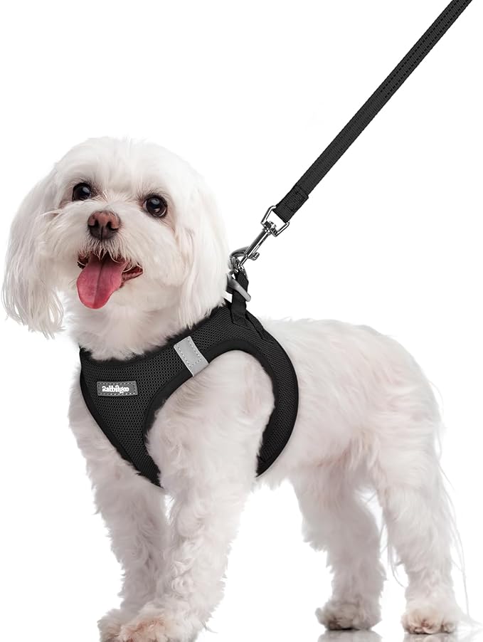rabbitgoo Dog Harness Small Sized and Leash Set, Step in Soft Light Puppy Vest, Breathable Mesh Pet Harness, Reflective for Safe Easy Walking, Black M-Mewly Pet