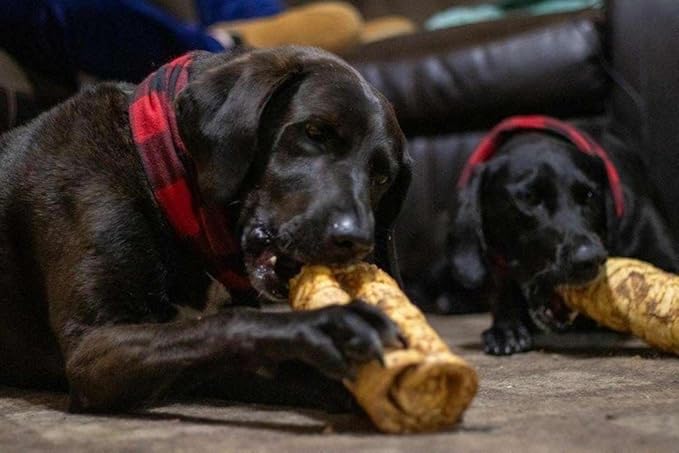Redbarn Pet Products All-Natural Small/Medium Beef Cheek Rolls for Dogs, Chicken & Carrot Glazed - Single Ingredient Grain-Free Chew Treat Naturally Rich in Collagen - 5 Pack - Packaging May Vary-Mewly Pet