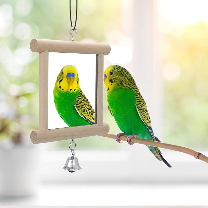 4 PCS Bird Mirror with Bell Parrot Hanging Interactive Playing Toy for Cockatiel Parakeets Canaries Budgie Cage Accessories-Mewly Pet