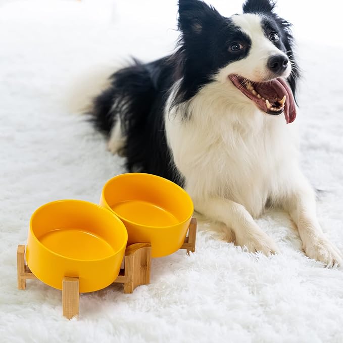 SPUNKYJUNKY 15° Slanted Ceramic Dog and Cat Bowl with Wooden Stand, Tilted Bulldog Food and Water Bowl No Slip Non-Spill for Cats Medium Dogs Big Face Pets 28.7 OZ (3.6 Cups, Yellow × 2)-Mewly Pet