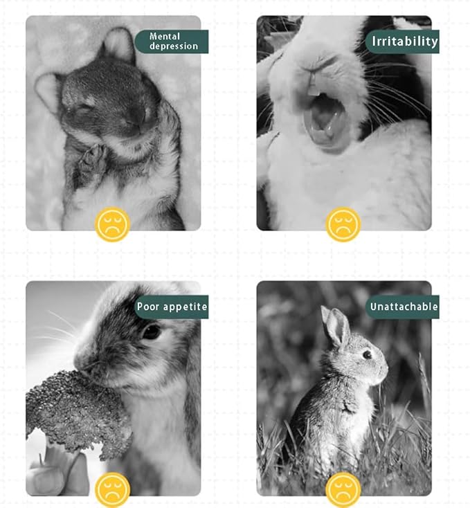 Rabbit Toys 30Pcs 3 Flavours for Teeth Grinding - Chew Toys for Hamsters, Guinea Pigs, Chinchillas-Mewly Pet