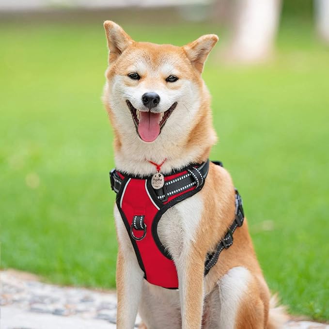 PoyPet No Pull Dog Harness, Reflective Comfortable Vest Harness with Front & Back 2 Leash Attachments and Easy Control Handle Adjustable Soft Padded Pet Vest for Small to Large Dogs (Red,XS)-Mewly Pet