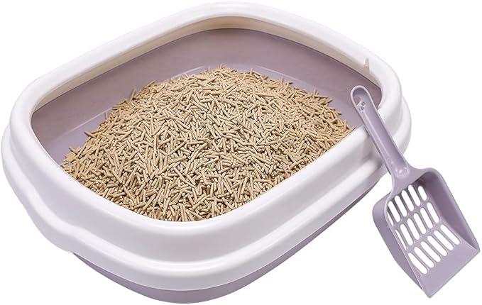 Cat Open Top Litter Box with Lid, Litter Mat, Poop Lifter Scoop & Kitten Kitty Stainless Steel Feeding Dish Bowl, Starter Kit 4 Pack for Small cat Within 5 Months (Grey-Four Entries)-Mewly Pet