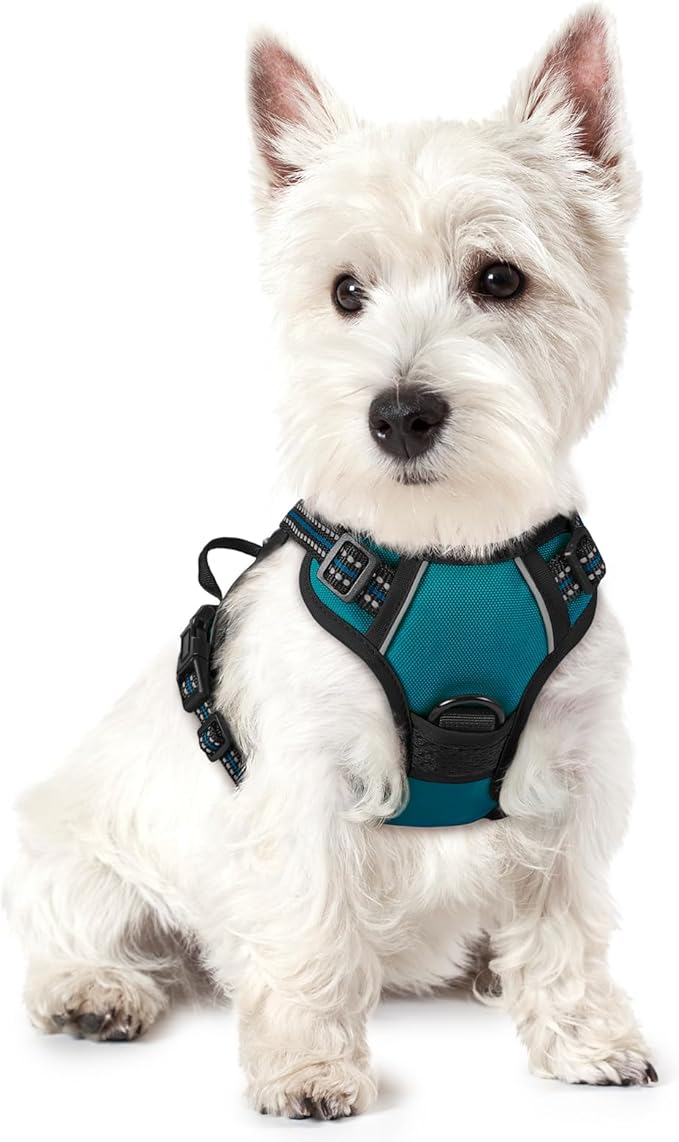 rabbitgoo Dog Harness No Pull with 2 Leash Clips, Adjustable Soft Padded, Reflective Oxford No Choke Pet Vest with Easy Control Handle for Puppy, Blue Coral, XS-Mewly Pet