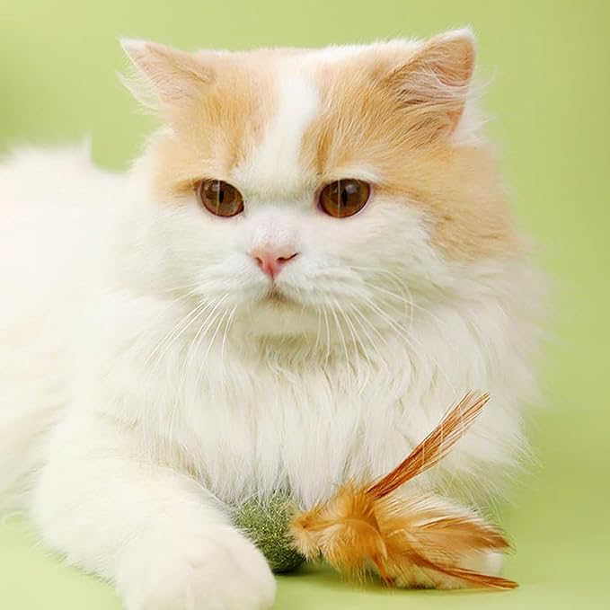 5 Pieces of Catnip Toys Ideal Catnip Ball to Stimulate Cat Exercising and Interacting Toys for Cats-Mewly Pet