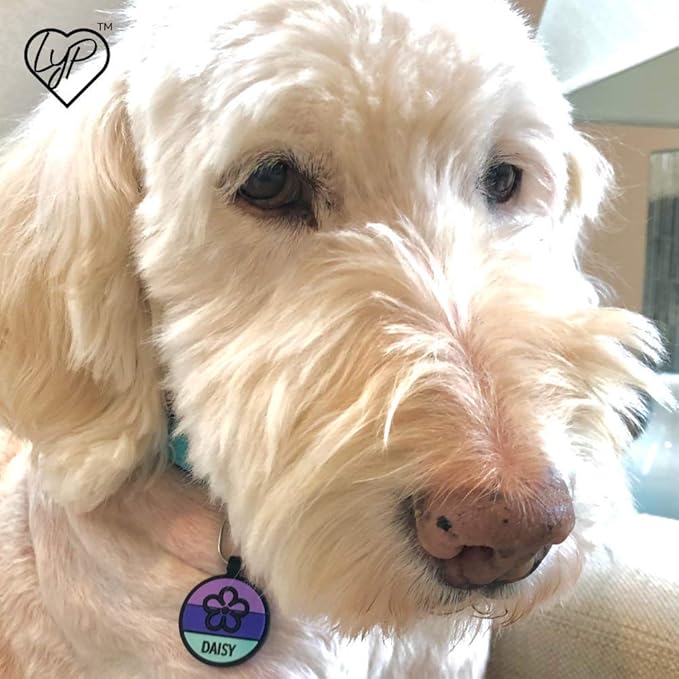 LYP - Our Original Soundless Pet ID Tag - Largest Line of Silicone Dog Tags - No More Jingling Dog Tags -Durable - Never Fades - Customized Deep Engraved Silicone (Flower - Purple)-Mewly Pet