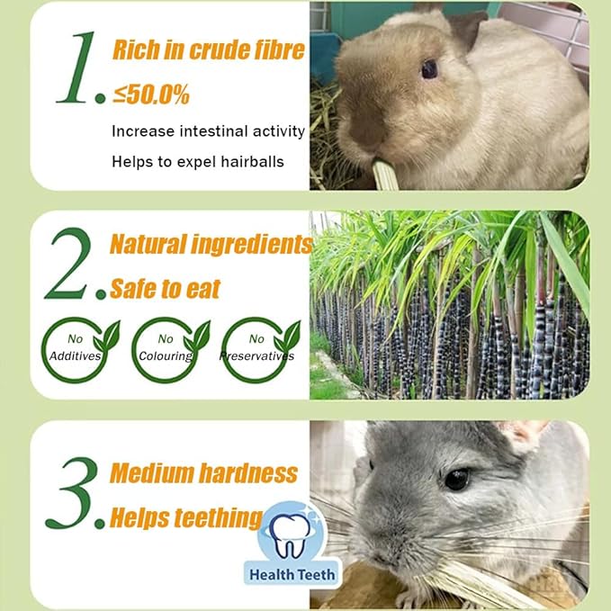 Guinea Pig Toys Apple Sticks, Tissimo Grass Sticks, Sweet Bamboo,Types of Combined Chew Toys,Pertain Chinchilla Squirrel Gerbil Hamster Squirrel Guinea Pigs-Mewly Pet