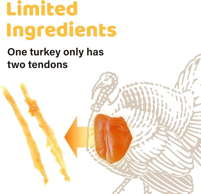 iPaw Turkey Tendons for Dogs, 100% Turkey and US Sourced Raw Material, Hypoallergenic, All Natural Human Grade Puppy Chew, Rawhide Alternative Dog Treats, 10 Unit/Box Bone (Large)-Mewly Pet