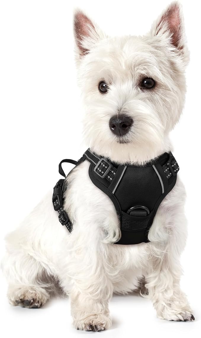 rabbitgoo Dog Harness No Pull with 2 Leash Clips, Adjustable Soft Padded, Reflective Oxford No Choke Pet Vest with Easy Control Handle for Puppy, Black, XS-Mewly Pet