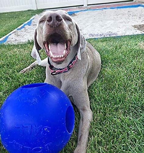 Jolly Pets Teaser Ball Dog Toy, Extra Large/10 Inches, Blue (1510 BL)-Mewly Pet