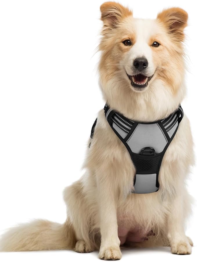 rabbitgoo Dog Harness No Pull with 2 Leash Clips, Adjustable Soft Padded, Reflective Oxford No Choke Pet Vest with Easy Control Handle for Medium Sized Dogs, Grey, M-Mewly Pet