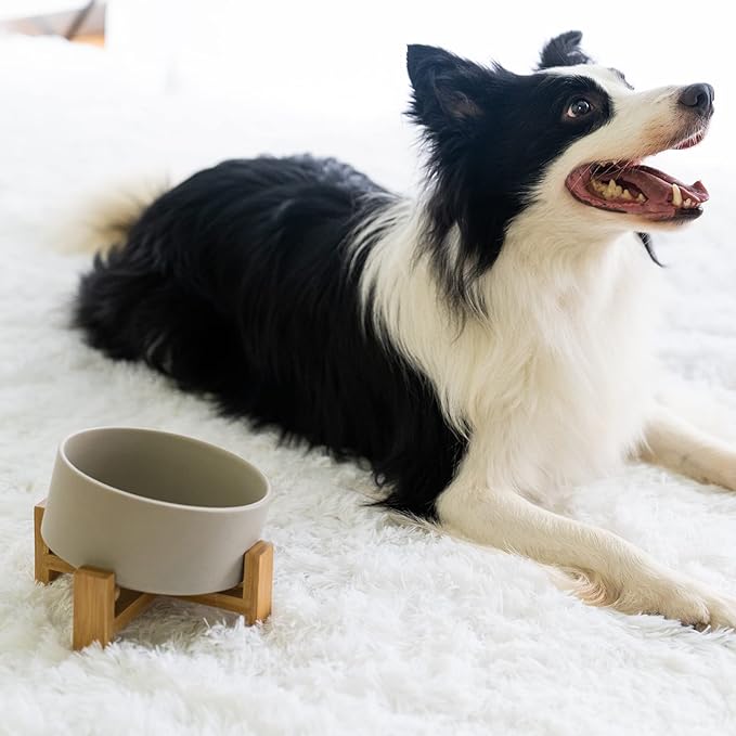 SPUNKYJUNKY 15° Slanted Ceramic Dog and Cat Bowl with Wooden Stand, Tilted Bulldog Food and Water Bowl No Slip Non-Spill for Cats Medium Dogs Big Face Pets 28.7 OZ (3.6 Cups, Grey)-Mewly Pet