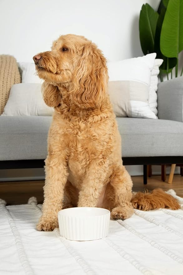 Waggo Ripple Ceramic Dog Bowl for Medium and Large Breeds - Modern with Matte Finish, Heavyweight Durable Pet Food and Water Dish Crock, Dishwasher Safe (Small, White)-Mewly Pet