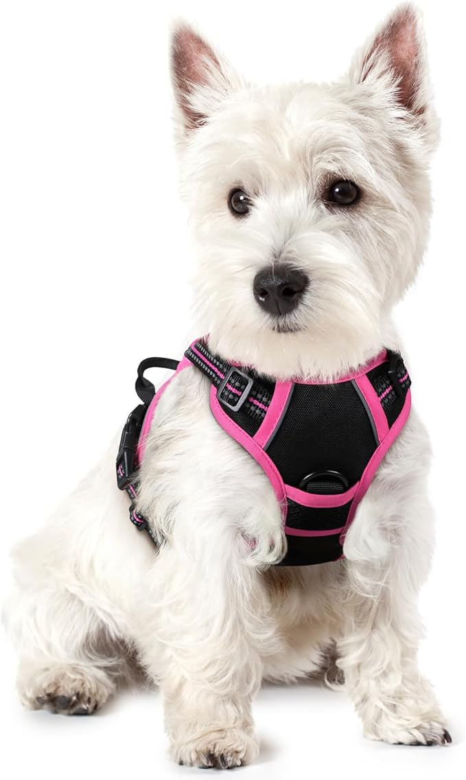 rabbitgoo Dog Harness No Pull with 2 Leash Clips, Adjustable Soft Padded, Reflective Oxford No Choke Pet Vest with Easy Control Handle for Large Dogs, Black & Hot Pink, XS-Mewly Pet