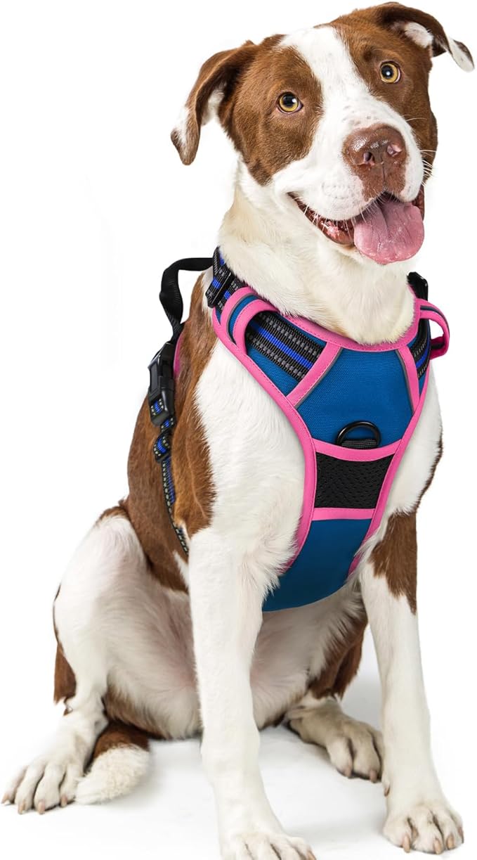 rabbitgoo Dog Harness No Pull with 2 Leash Clips, Adjustable Soft Padded, Reflective Oxford No Choke Pet Vest with Easy Control Handle for Large Dogs, Blue & Hot Pink, L-Mewly Pet