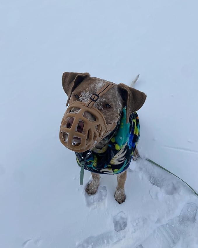 Mayerzon Dog Muzzle, Breathable Basket Muzzles for Small, Medium, Large and X-Large Aggressive Dogs Beagle German Shepherd Doberman, Cage Mouth Guard Stop Biting Chewing for Grooming Training-Mewly Pet