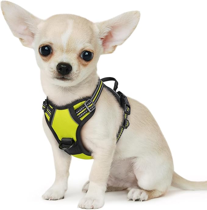 Eagloo Small Dog Harness No Pull, Service Vest with Reflective Strips and Control Handle, Adjustable and Comfortable for Walking, No Choke Pet Harness with 2 Metal Rings, Green, XS-Mewly Pet