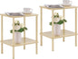Apicizon 2 Tier End Table Set of 2, Small Side Table with Solid Wood Legs, Boho Bedside Table with Storage Shelf, Nightstand for Small Spaces, Bedroom, Living Room, Entryway, Light Natural
