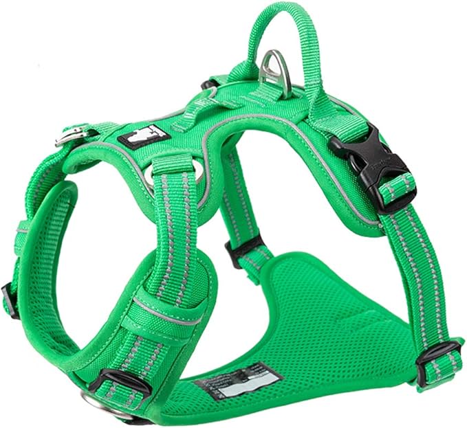 TRUE LOVE Dog Harness No Pull Nylon Reflective Pet Harness Adjustable Comfortable Control Step-in Brilliant Colors Truelove TLH56512 XS Grass Green-Mewly Pet