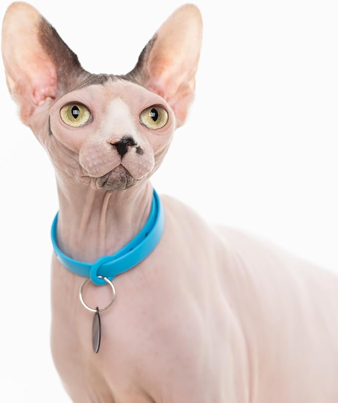 Silicone Cat Collars 2 Pack - Soft, Comfortable, and Lightweight Safety Breakaway Collar with Name Tag Ring for Outdoor Cats and Sensitive Skin Kittens by Nuvuq (6 ⅞" to 10 ¼", Blue)-Mewly Pet