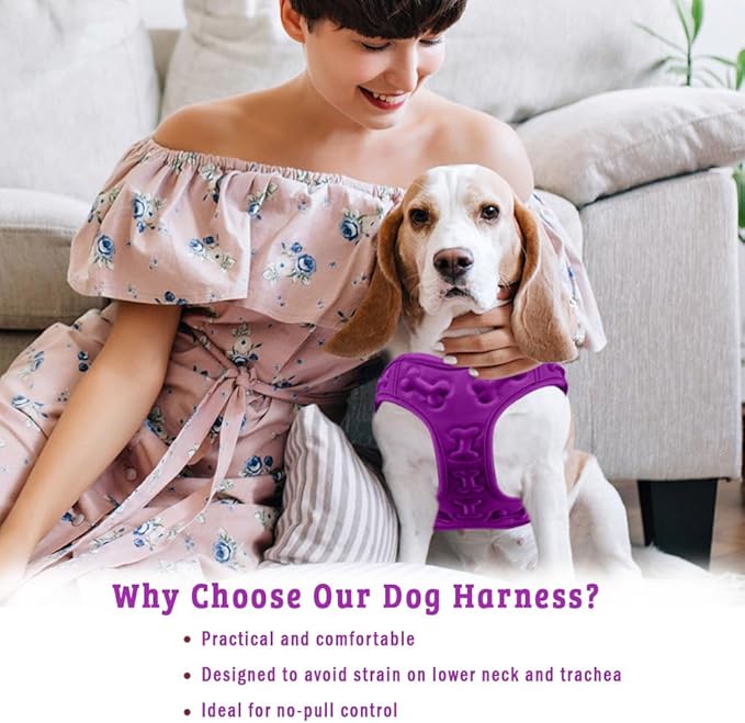 Comfort Fit Dog Harness No Pull with Adjustable Buckles Soft Padded Reflective Choke Step-in Pet Vest with Easy Control Handle for Small Medium Large Dogs & Puppies for Walking Running Training-Mewly Pet