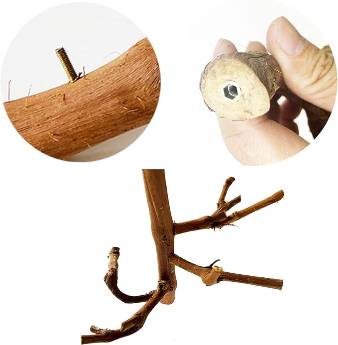 Allazone Natural Parrot Perch Bird Stand Branch Wild Grape Stick Paw Grinding Branch Parakeet Climbing Standing Branches Toy Chewable Cage Accessories for Small Lovebirds Budgies Cockatiels-Mewly Pet