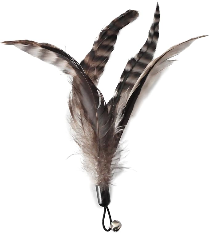 Cat Toys - No Chemical Dyeing Cat Feather Toys for Indoor Cats - Include Cat Wand and Natural Feather Refills-Mewly Pet