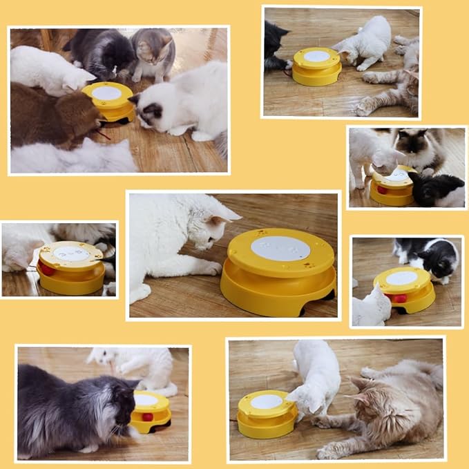 LASOCUHOO 2-in-1 Automatic Cat Toy with Track & Jumping String – Interactive Electric Toy with Rolling Balls & Bell, Battery-Powered (3 AA), Auto Shut-Off for Multi-Cat Play-Mewly Pet