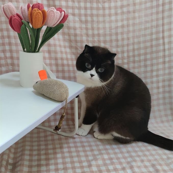 Cat Toys for Indoor Cats, 3Pcs Large 8.9" Plush Mouse Kitten Toys with Bell Tail Sound, Organic Catnip with Silvervine, Individually Packaged Dental Chew Matatabi for Exercise & Oral Health-Mewly Pet