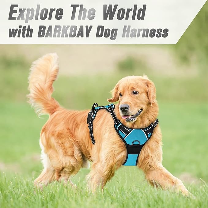 BARKBAY No Pull Dog Harness Front Clip Heavy Duty Reflective Easy Control Handle for Large Dog Walking(Blue,M)-Mewly Pet