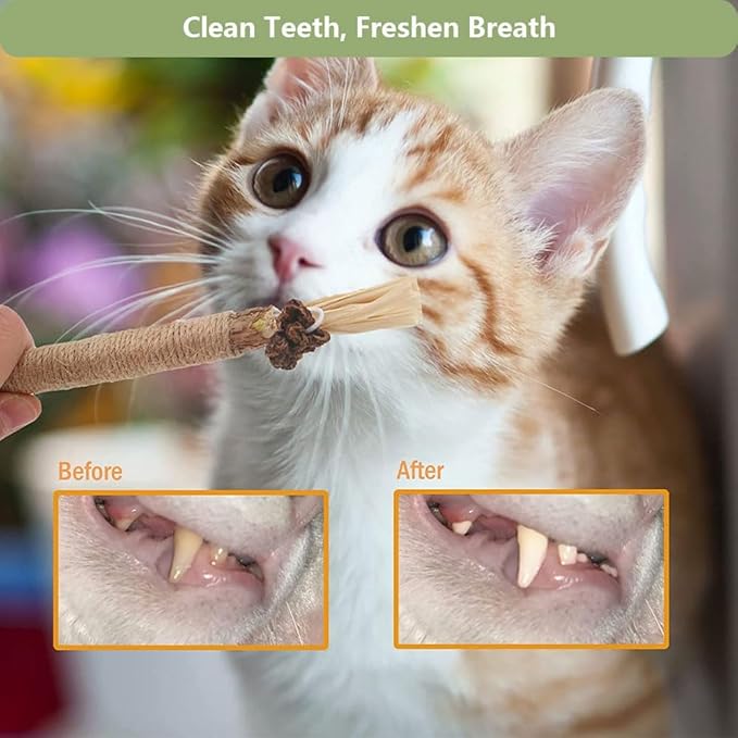 3 PCS Silvervine Sticks for Cats - Natural Cat Chew Toys for Teeth Cleaning, Kitten Teething & Aggressive Chewers-Mewly Pet