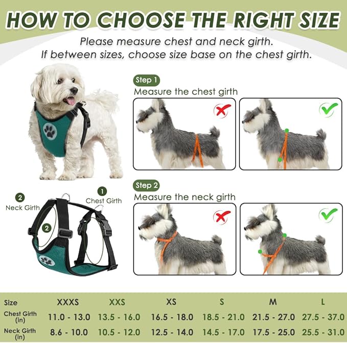 SlowTon Dog Seat Belt Harness for Car, Dog Car Harness Adjustable Mesh Breathable & Dog Seatbelt Safety Tether with Elastic Bungee for Small Medium Large Pets(Green, Double Clip, XXXS)-Mewly Pet