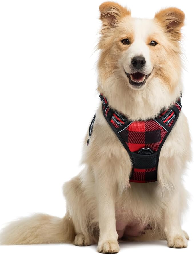 rabbitgoo Dog Harness No Pull with 2 Leash Clips, Adjustable Soft Padded, Reflective Oxford No Choke Pet Vest with Easy Control Handle for Medium Sized Dogs, Red Plaid, M-Mewly Pet