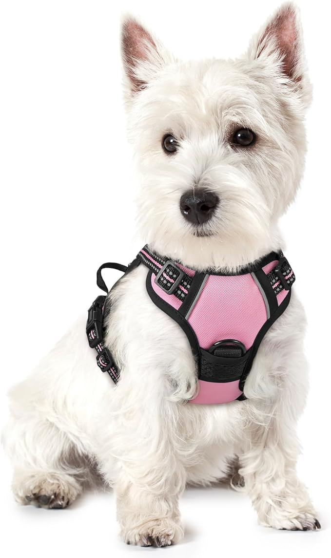 rabbitgoo Dog Harness No Pull with 2 Leash Clips, Adjustable Soft Padded, Reflective Oxford No Choke Pet Vest with Easy Control Handle for Puppy, Pink, XS-Mewly Pet