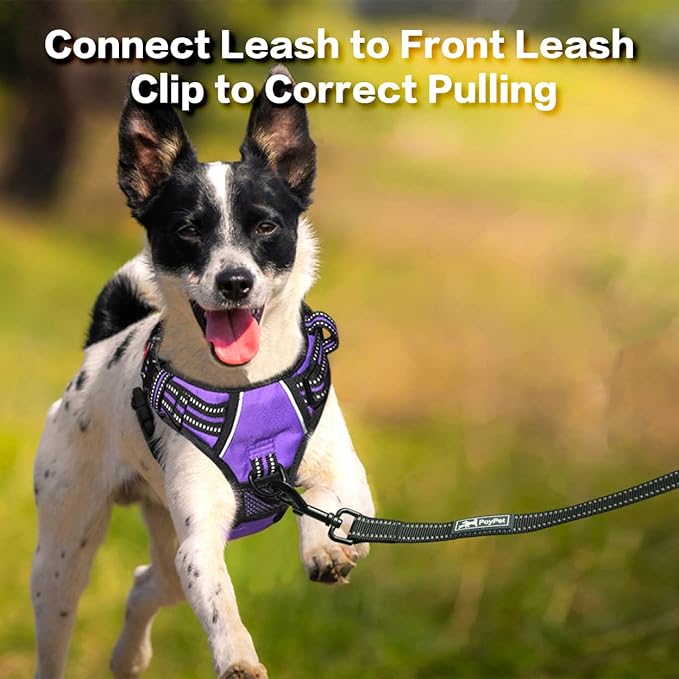 PoyPet No Pull Dog Harness, No Choke Front Clip Reflective Dog Vest with Soft Padded Vertical Handle, 3 Leash Attachments for Small Medium Large Dogs (Purple,S)-Mewly Pet
