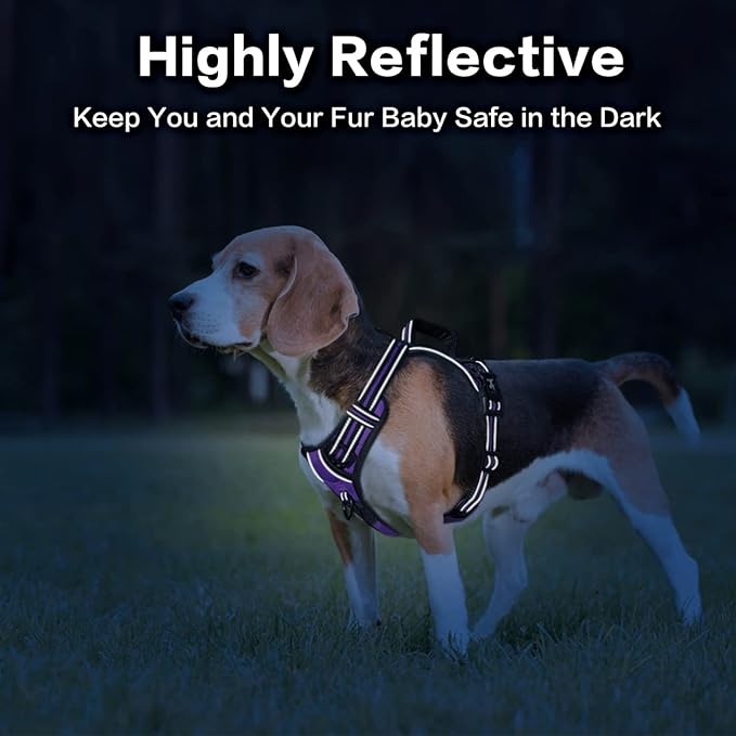 PoyPet No Pull Dog Harness, No Choke Front Clip Reflective Dog Vest with Soft Padded Vertical Handle, 3 Leash Attachments for Small Medium Large Dogs (Purple,M)-Mewly Pet